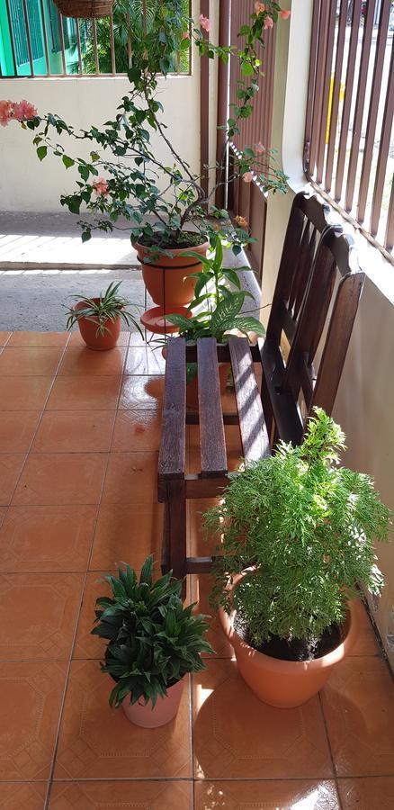 ליברייה Hostel Dodero מראה חיצוני תמונה