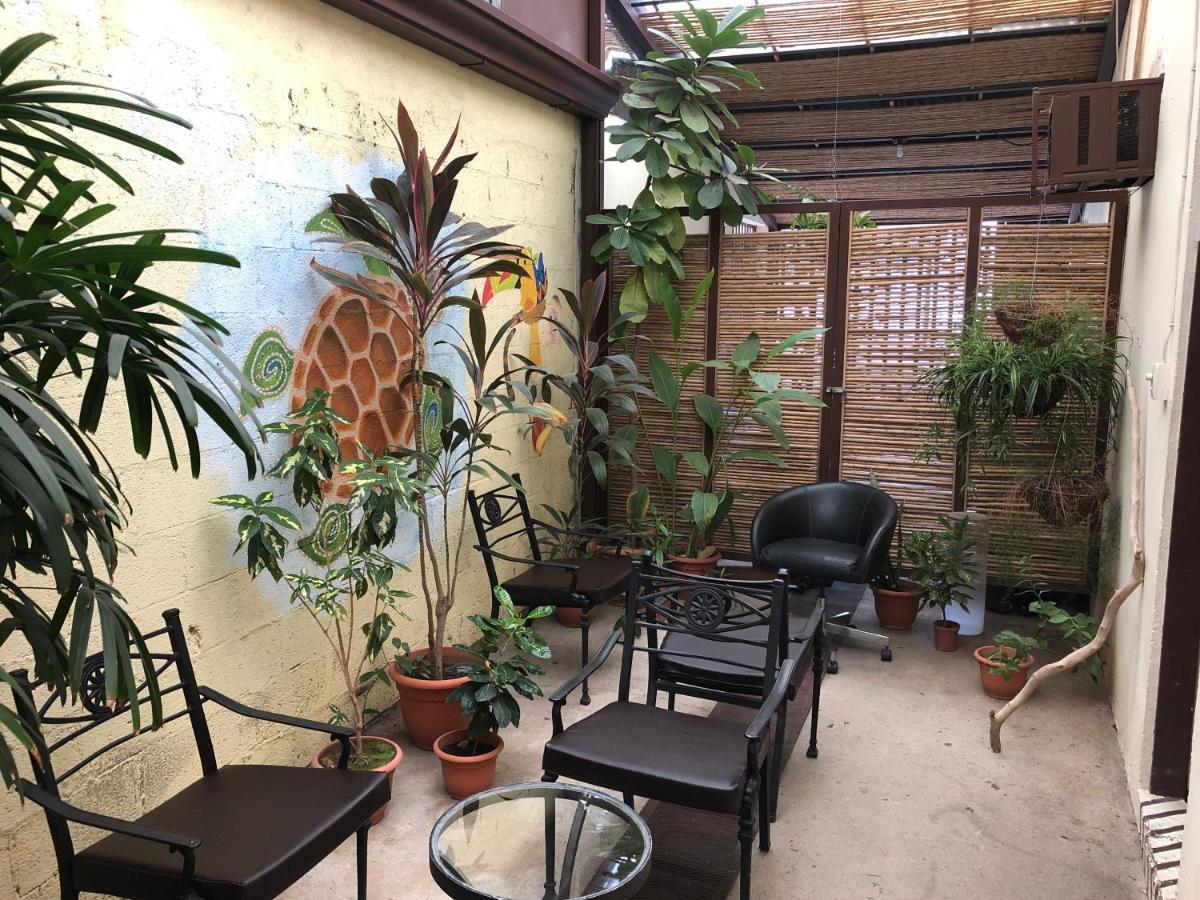 ליברייה Hostel Dodero מראה חיצוני תמונה